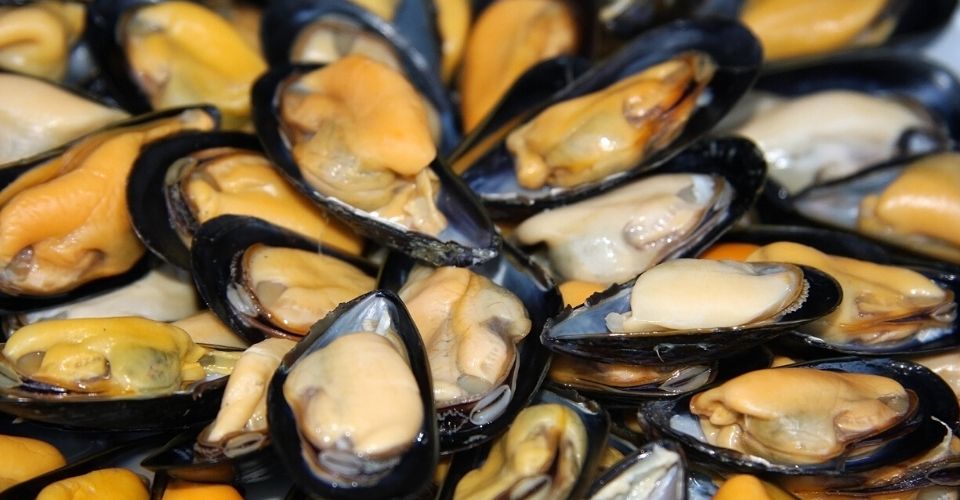 Cozze di Taranto: il segreto che le rende uniche al mondo ancora oggi